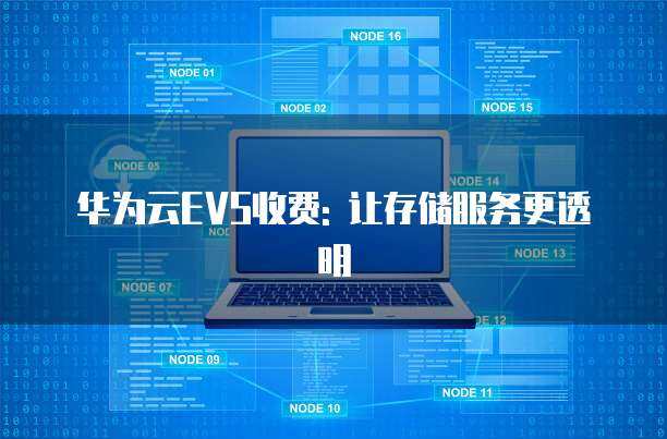 大华ess存储和evs