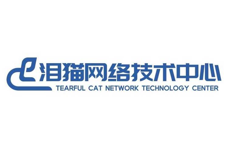 宋佳宸 以技术服务与创新驱动，打造数据存储新篇章